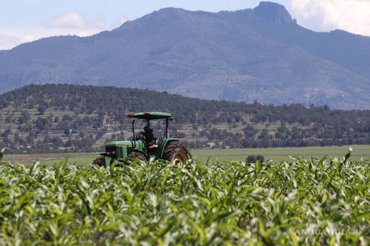 Pide ayuda el sector agroalimentario de NL por escasez de agua e inseguridad