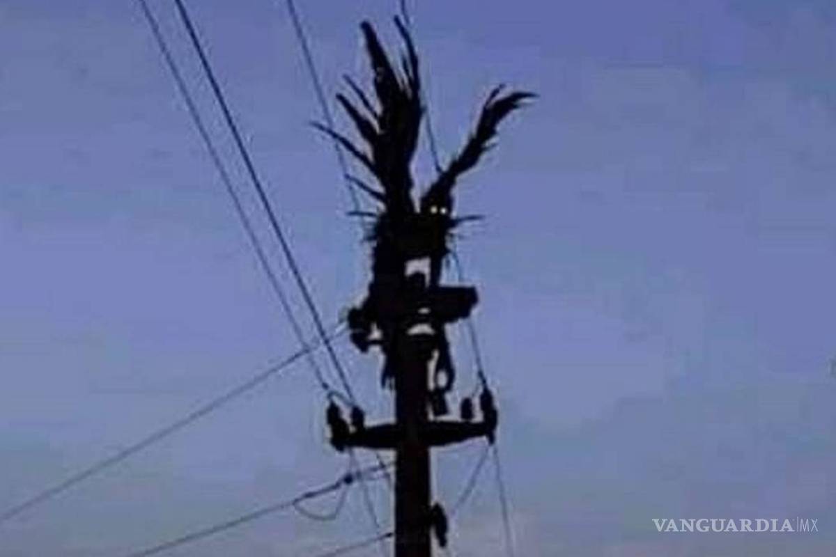 $!¿Qué es el hombre pájaro?... la criatura que presagia catástrofes y ha sido vista en Coahuila, Nuevo León y Tamaulipas