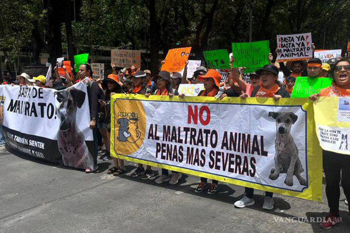 Marchan por los animales en México; miles exigen alto al maltrato animal