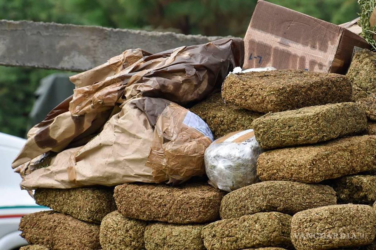 Culpa PAN a AMLO de que el narcotráfico sea el quinto empleador en el país