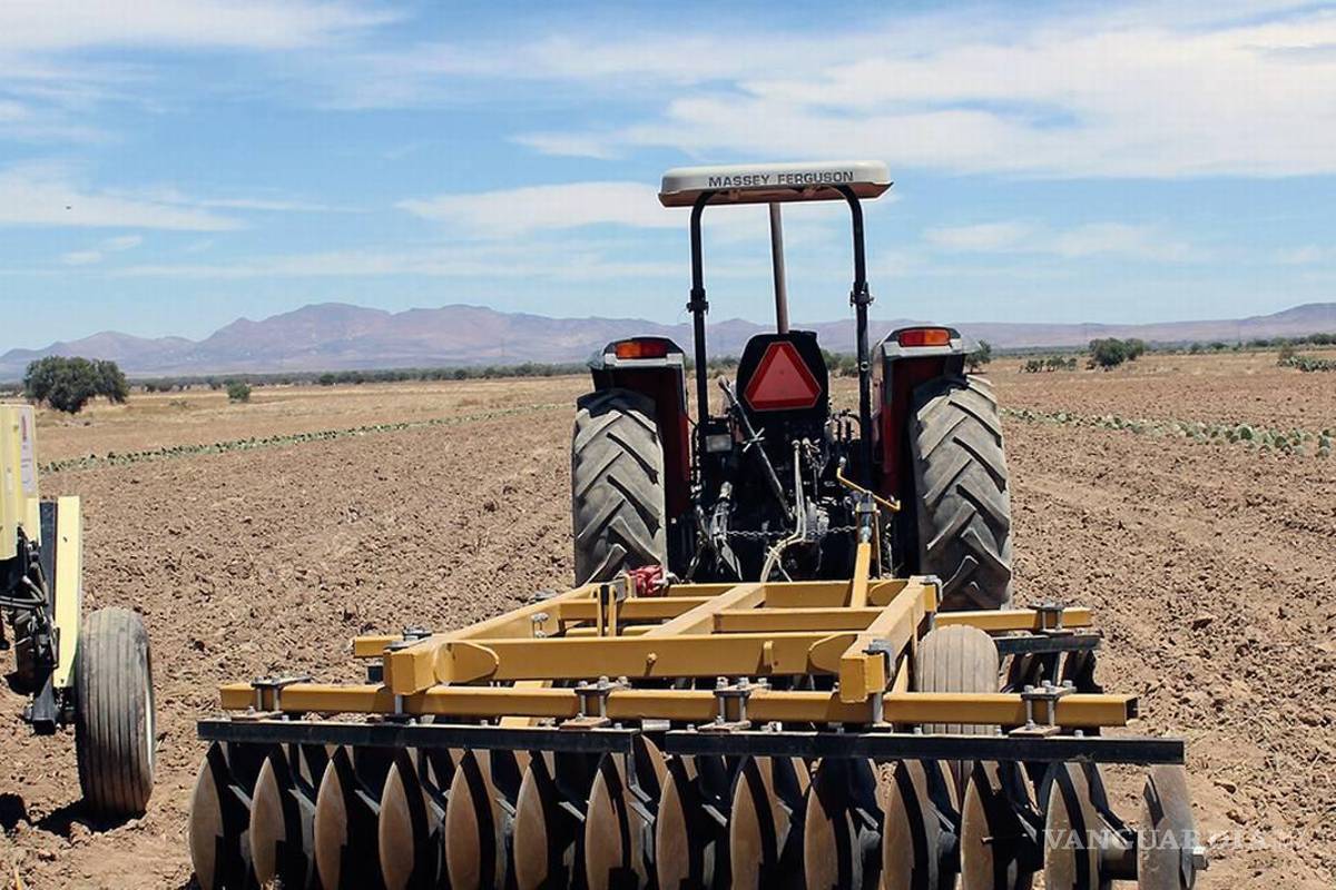 Presupuesto federal para el campo, a niveles de 2011’, dice en Saltillo la Unión de Trabajadores Agrícolas