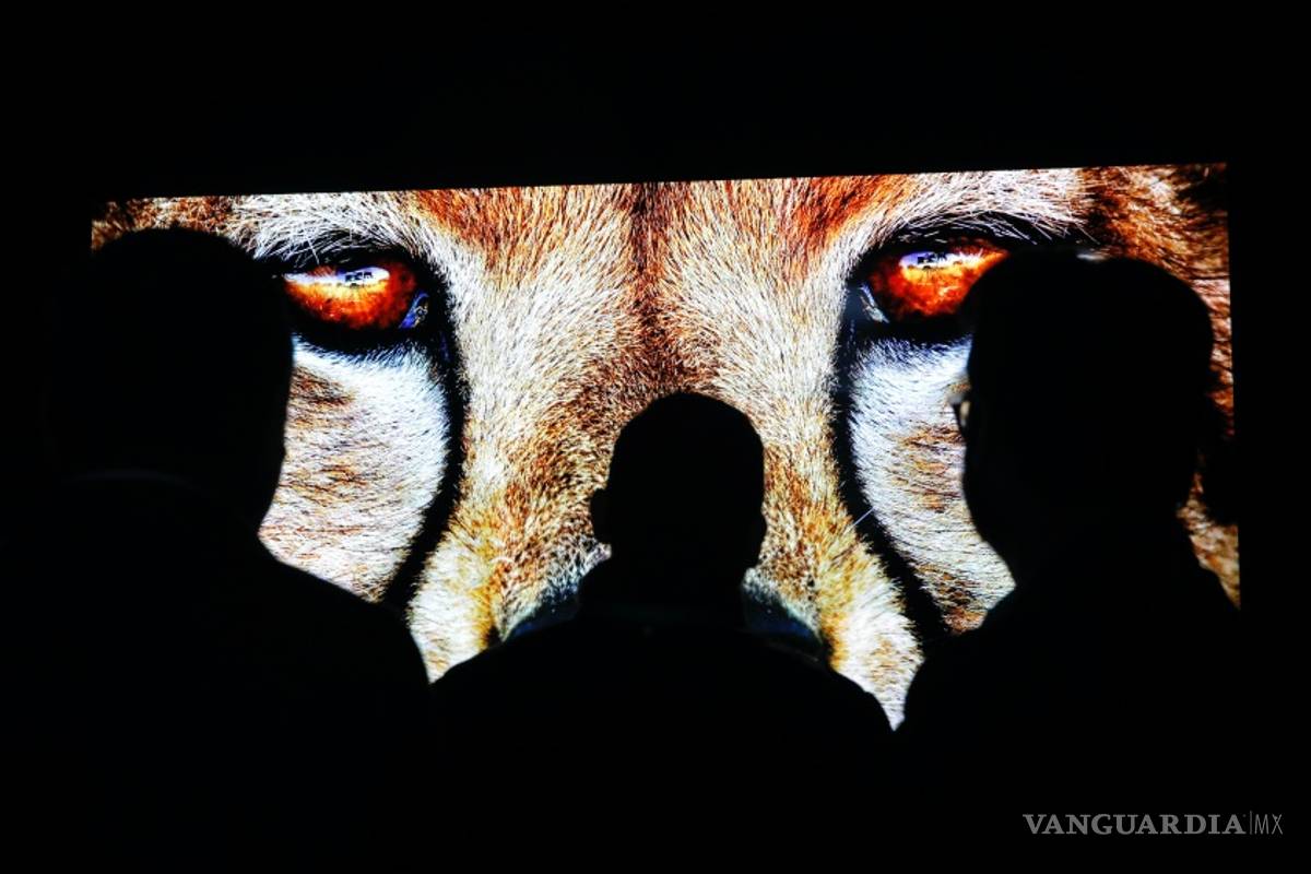 CES 2021, una de las principales ferias tecnológicas del mundo, será virtual