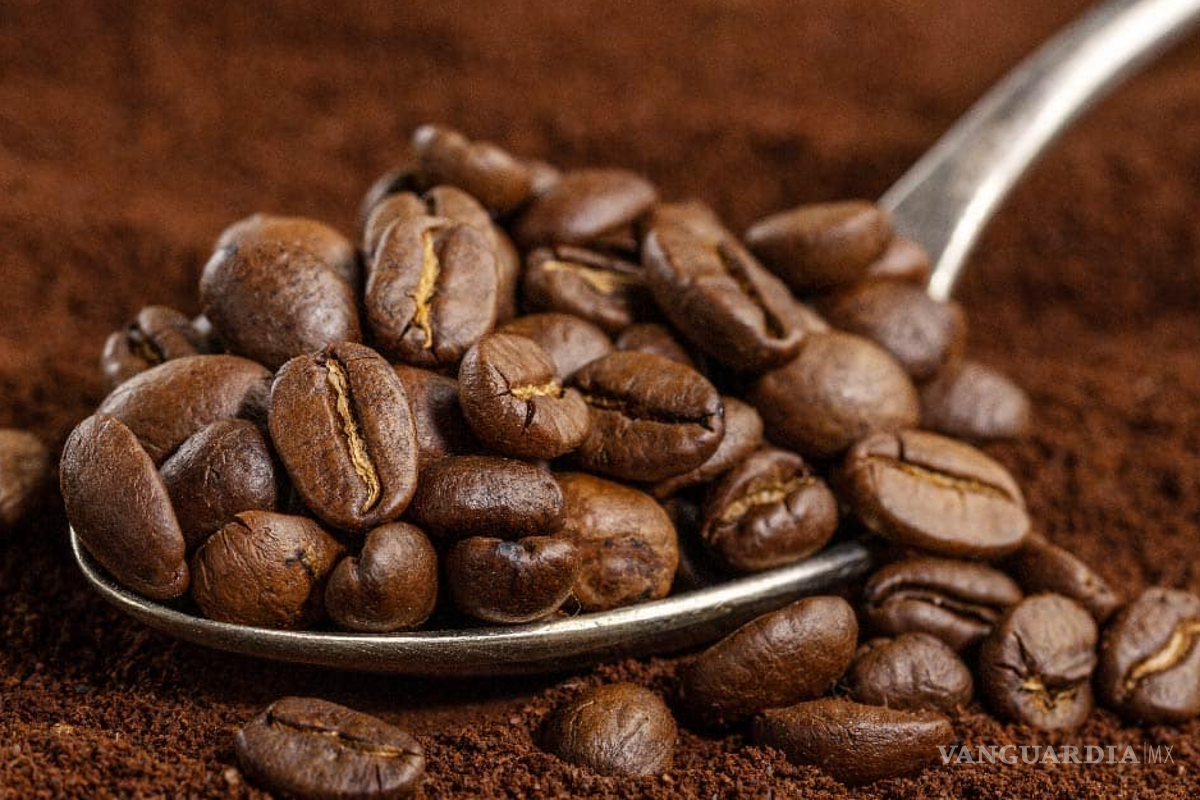 El café alcanzó su precio más alto en casi 50 años, efecto vendrá en unos meses