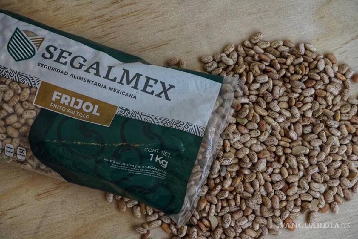 Segalmex desaparecerá con Sheinbaum, pese a investigaciones por multimillonario desvío