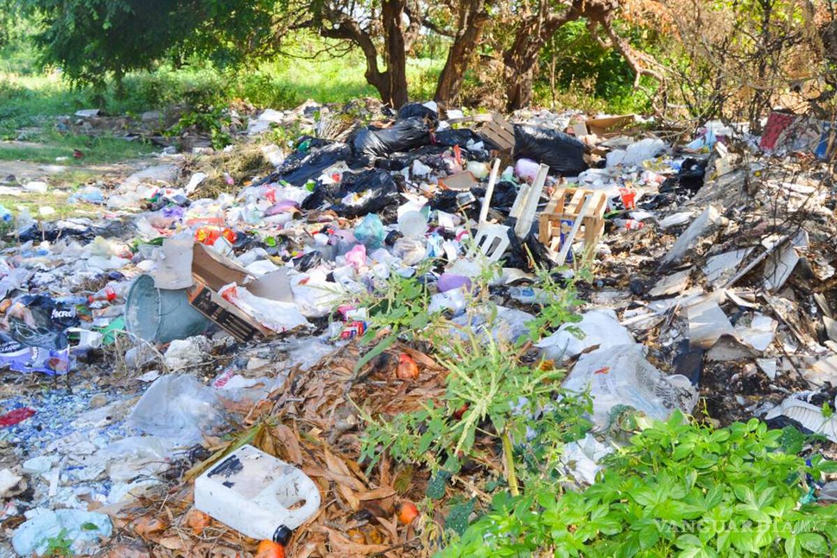 Algunos efectos ambientales de la cuarentena