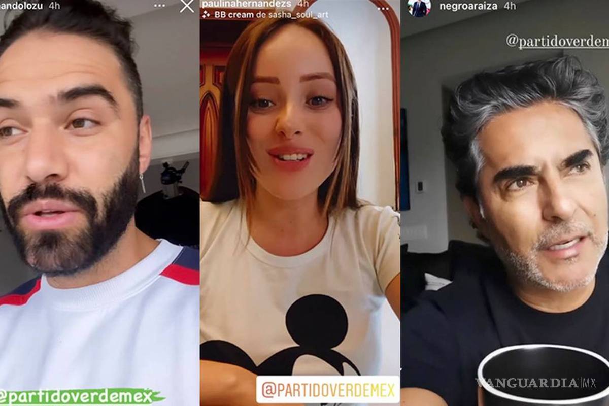 Castigarían al PVEM para que “le duela” realizar las mismas prácticas con famosos e influencers