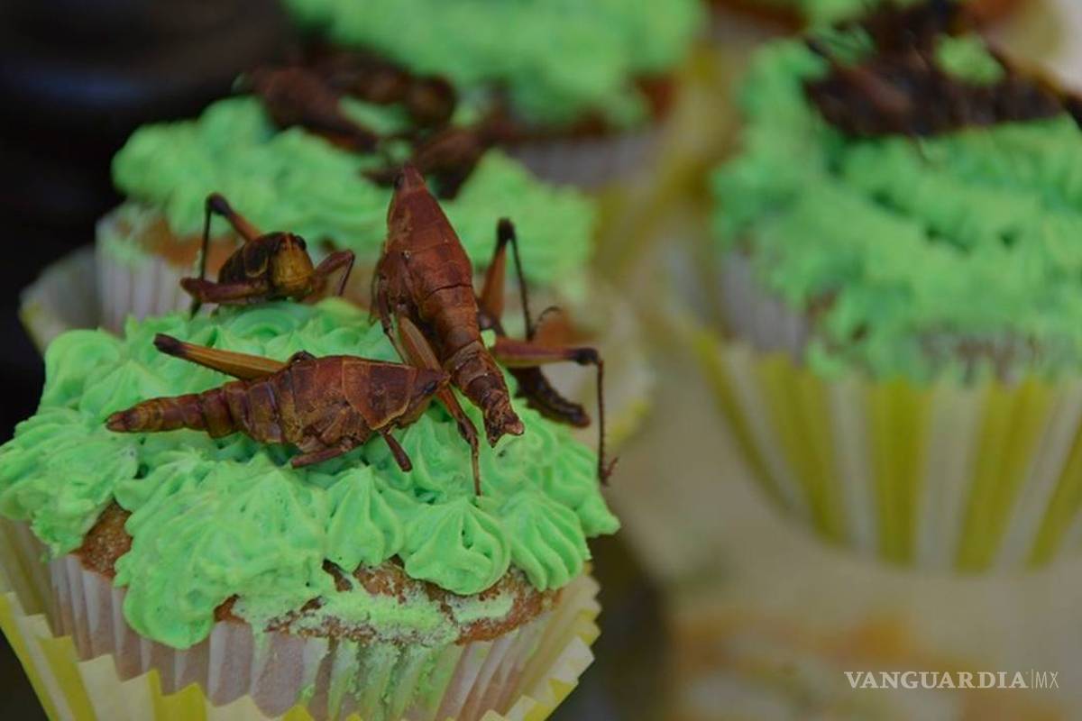 Estudiantes mexicanas crean una harina hecha de chapulines para contrarrestar la desnutrición infantil