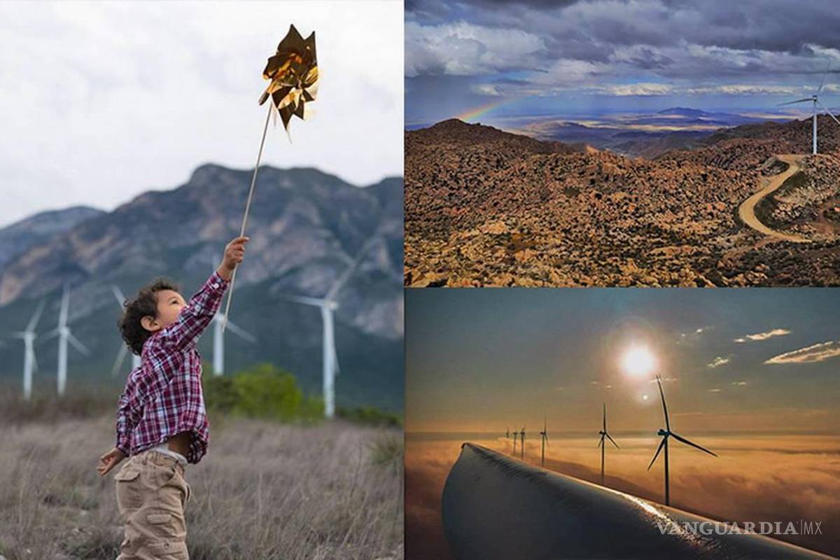 Invita AMDEE a participar en la quinta edición del concurso ‘Mi Vida y el Viento’