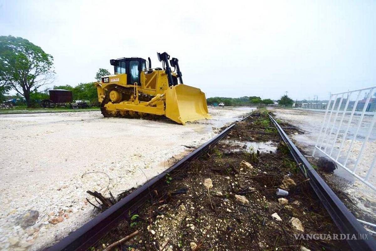 Morena frena comparecencia de funcionarios para que expliquen implicaciones del Tren Maya