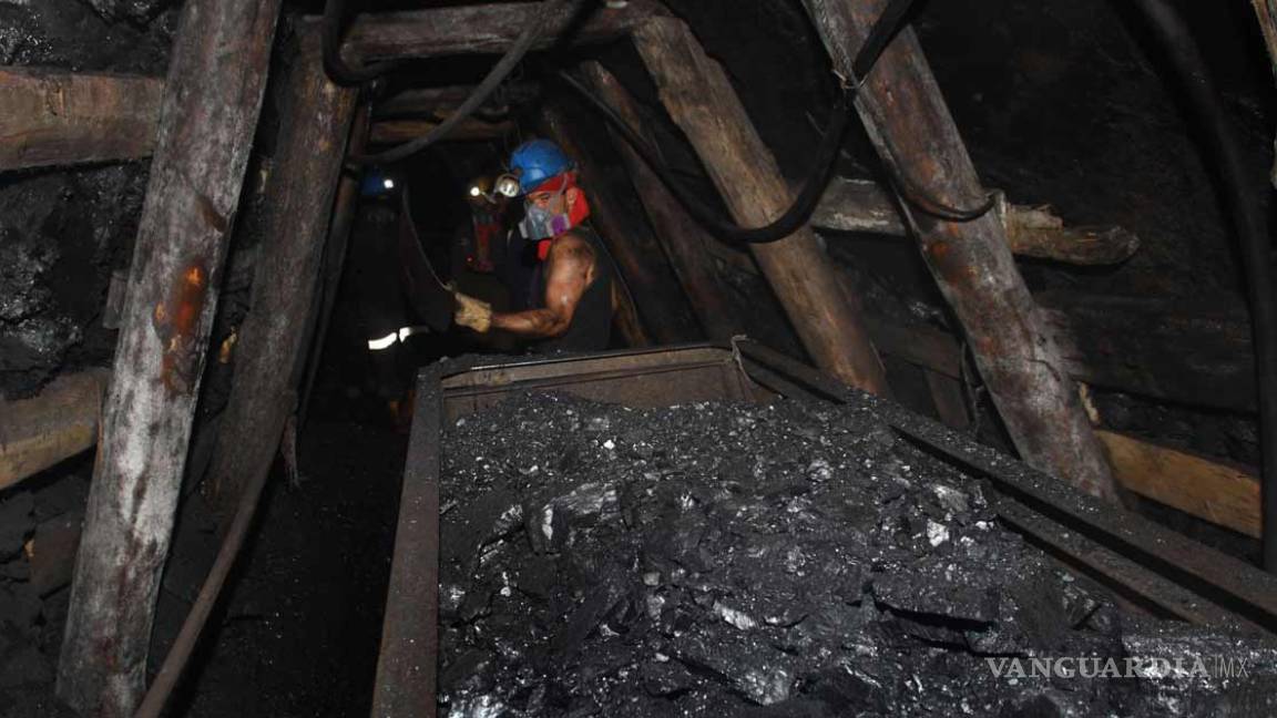 En Economía no hay quejas contra carboneros