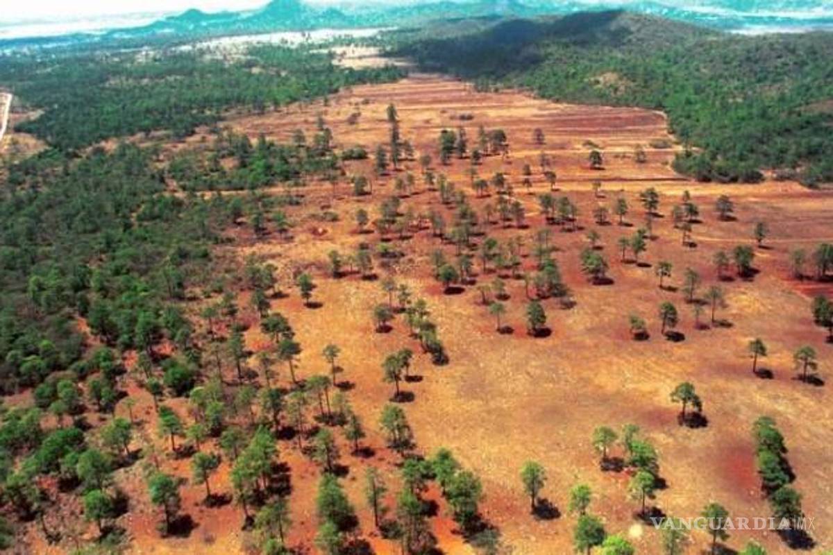 Grupo armado denominado ‘Autodefensa de Los Altos de Chiapas’ desfilan por 5 municipios