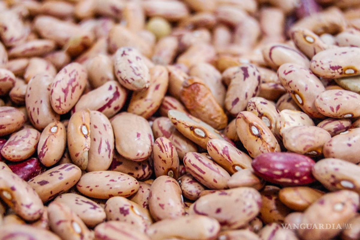 Frijol aumentará de precio; producción caería hasta un 50% por sequía