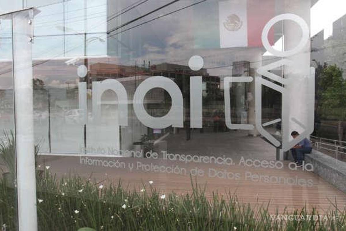 INAI interpondrá recurso contra el ‘plan B’