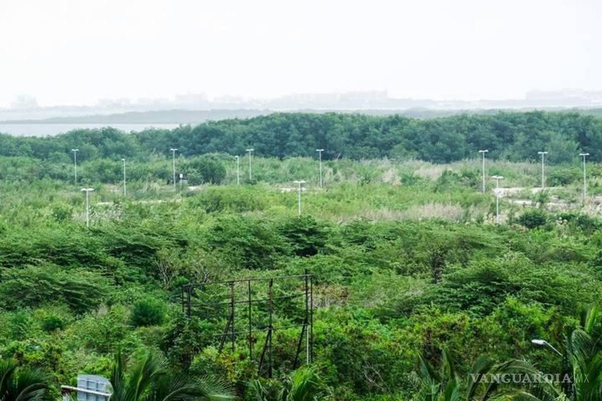 Publican 20 decretos de creación de nuevas Áreas Naturales Protegidas