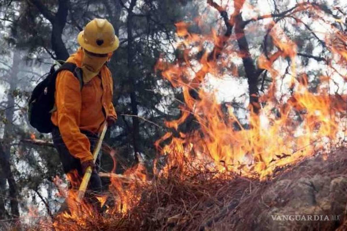 Afirman que los incendios forestales son otra de las consecuencias del narcotráfico