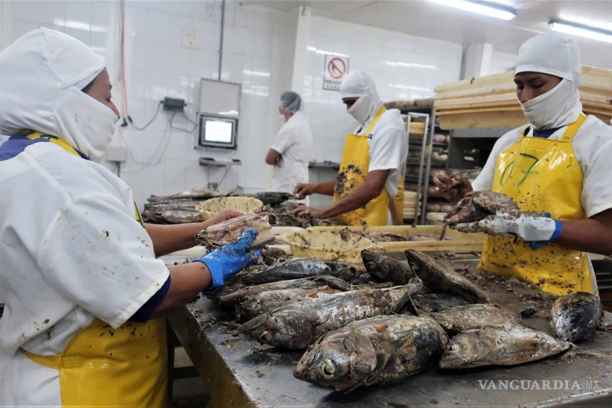 ¿Sabias que las partes más nutritivas del pescado terminan en la basura?