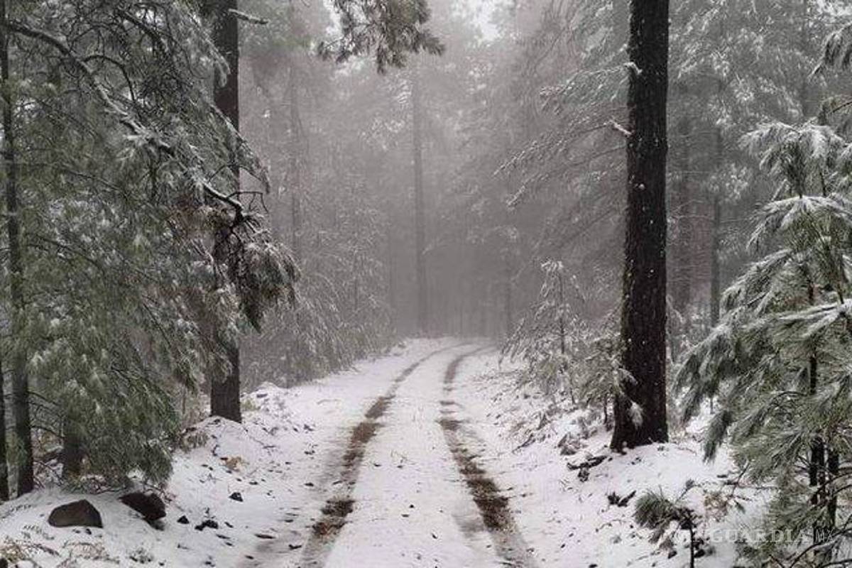 ¡Huele a Navidad!... Se registra primera nevada de la temporada en Chihuahua: protección civil emite alertas por bajas temperaturas en la sierra