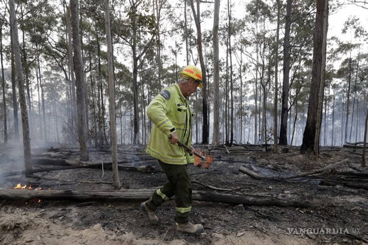 Avanza ofensiva a los incendios forestales en Australia