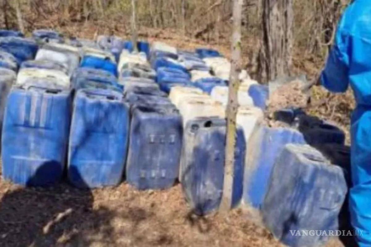 Decomisan 14 laboratorios clandestinos en Sinaloa