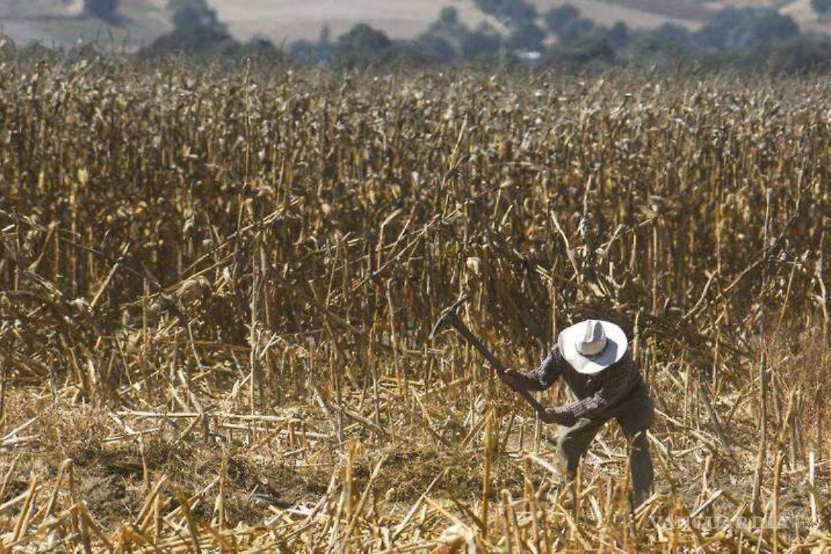 La actividad agropecuaria sufre 2 años de caídas por primera vez desde los 80