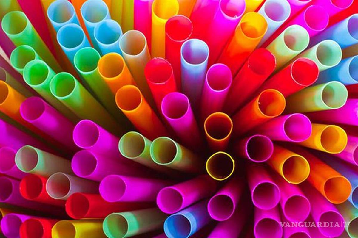 Prohibir los popotes no es la solución: industria del plástico