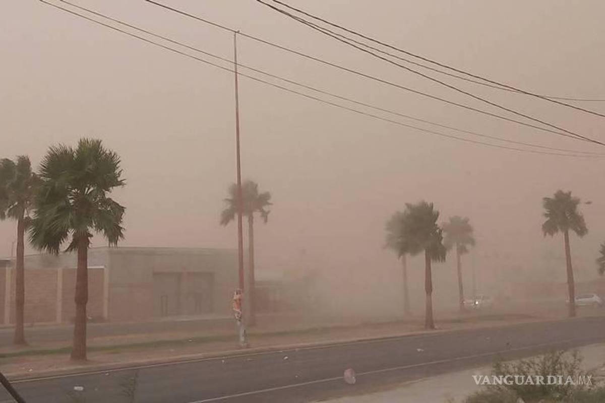 ¡Prepárese! tolvaneras desquiciarán La Laguna