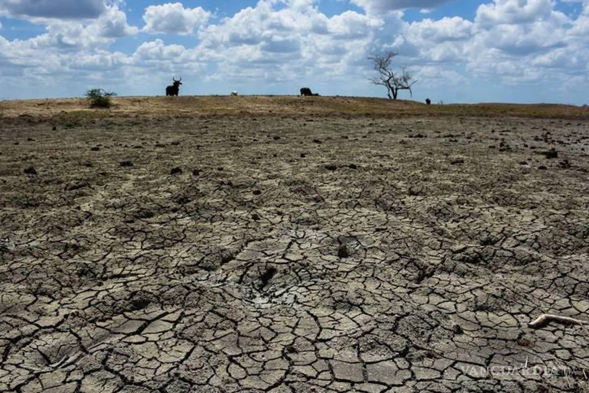 Obliga la sequía a los agricultores a sustituir alimentos que siembran
