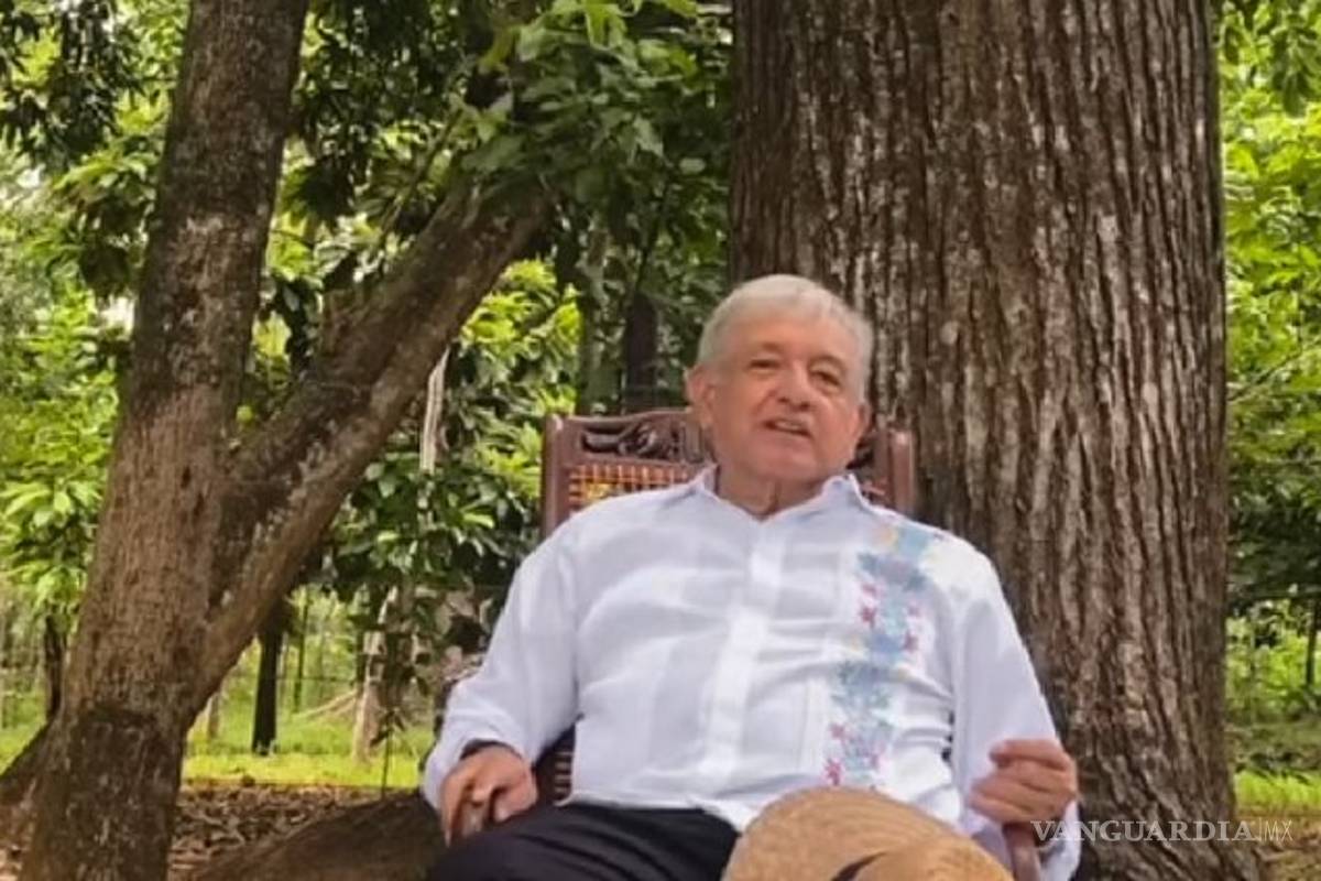 &quot;Seguir luchando&quot;, recomienda AMLO a Felipe Calderón tras negativa del INE
