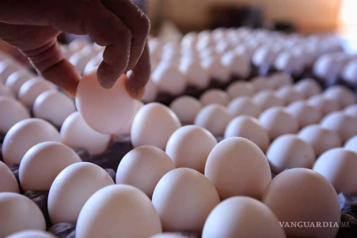 Huevo bajará de precio, aumento es estacional, asegura Profeco