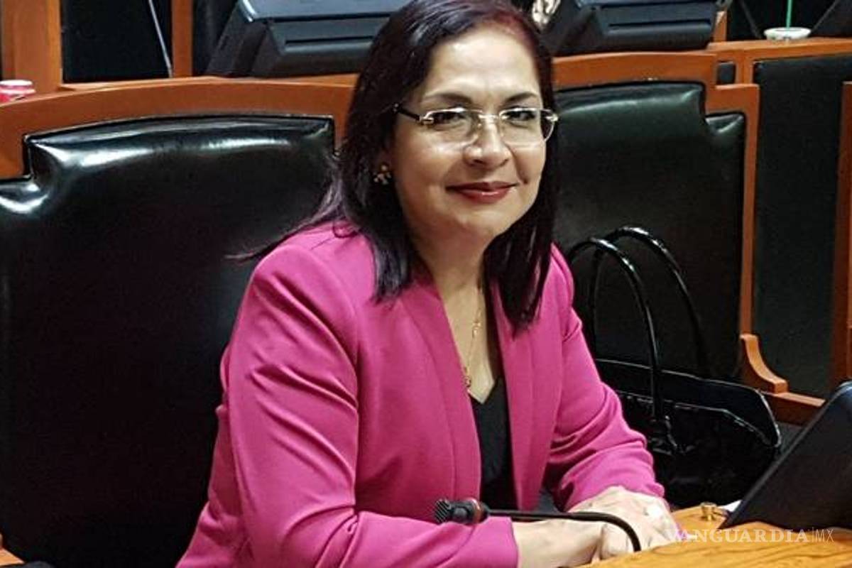 Diputada priista asegura que si le bajan el sueldo “tendrá que robar”; exigen su expulsión