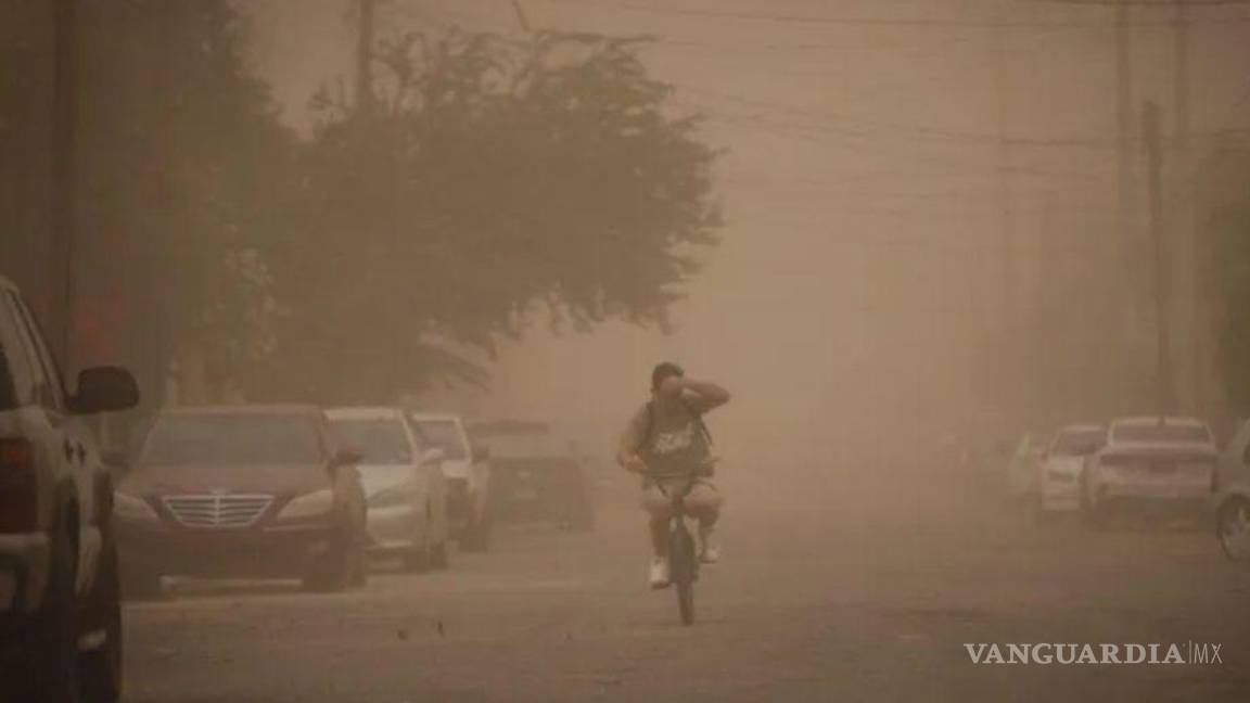 ¿Apocalipsis?... Tormenta de arena golpea a Baja California y desata el caos; dos lesionados, derriba árboles y daña edificios (videos)