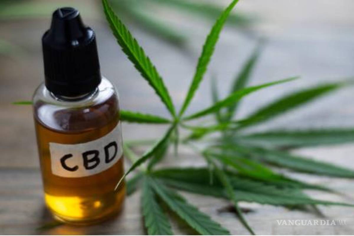 En Saltillo, se dispara hasta un 700% uso médico de aceite de cannabidiol o CBD