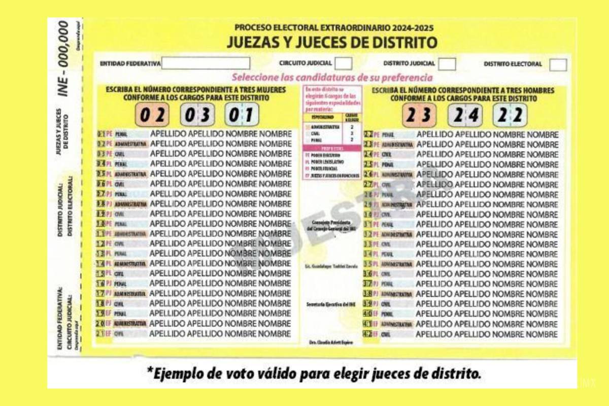 Votos válidos y votos nulos en la elección judicial