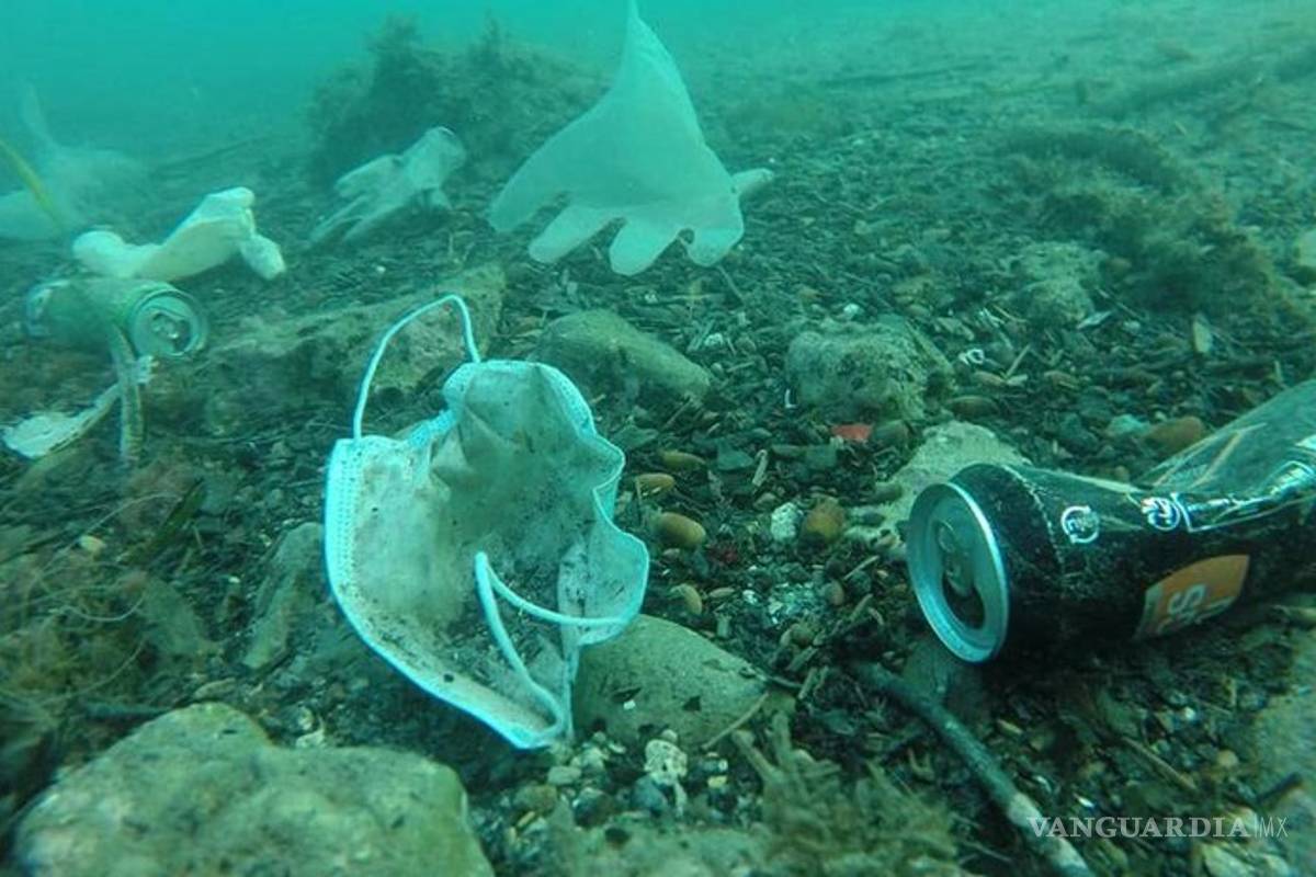 Guantes y mascarillas ya invaden los grandes ríos de Europa