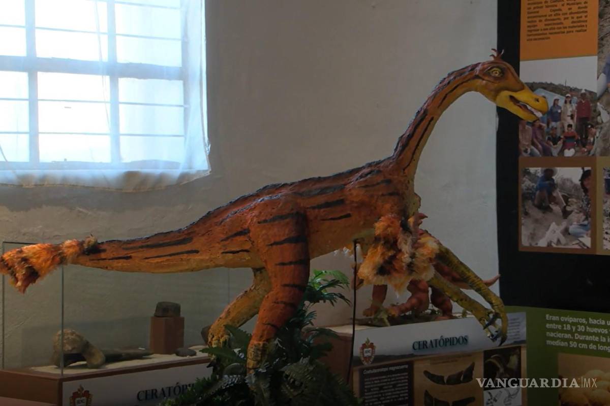 Descubren nueva especie de dinosaurio en Coahuila