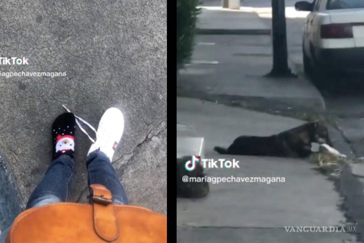 Perro ‘asalta’ a joven en calles de Morelia, le quita uno de sus zapatos (video)