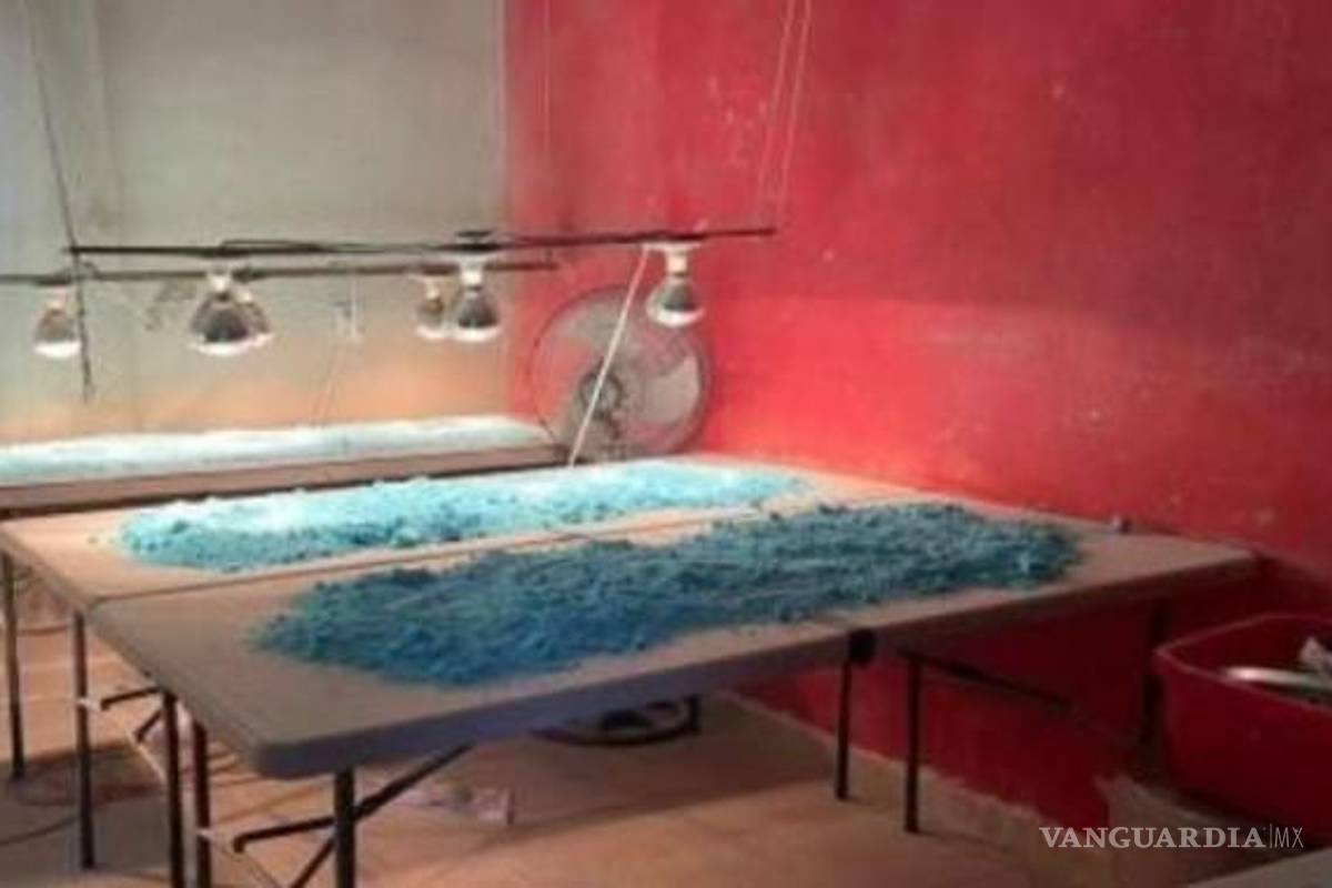 La ‘droga zombi’ gana terreno en México y AL, advierte la ONU