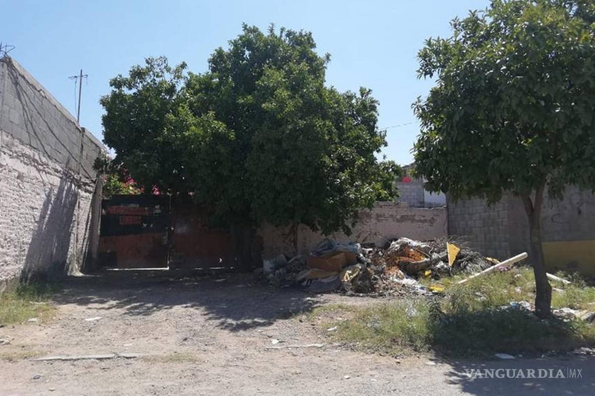 En Torreón presunto ladrón huye de policías y muere por ataque de perros pitbull