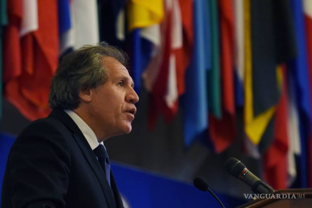 “Es mejor investigar a un candidato que a un presidente”: OEA