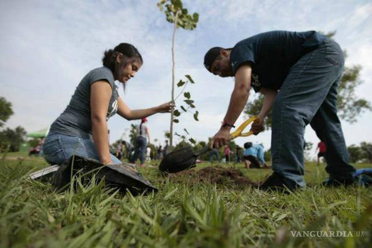 Forestarán con especies nativas tramos de ruta del BTR Torreón
