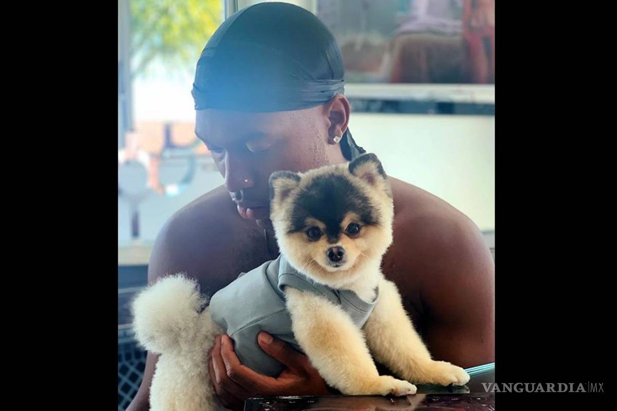 Asaltan casa de campeón de la Champions...y se llevan hasta el perro