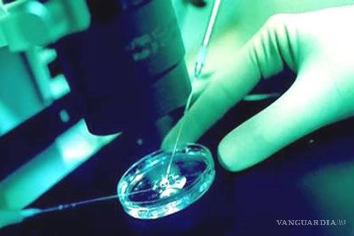 $!Clonar humanos es posible, pero aún hay impedimentos biológicos y éticos