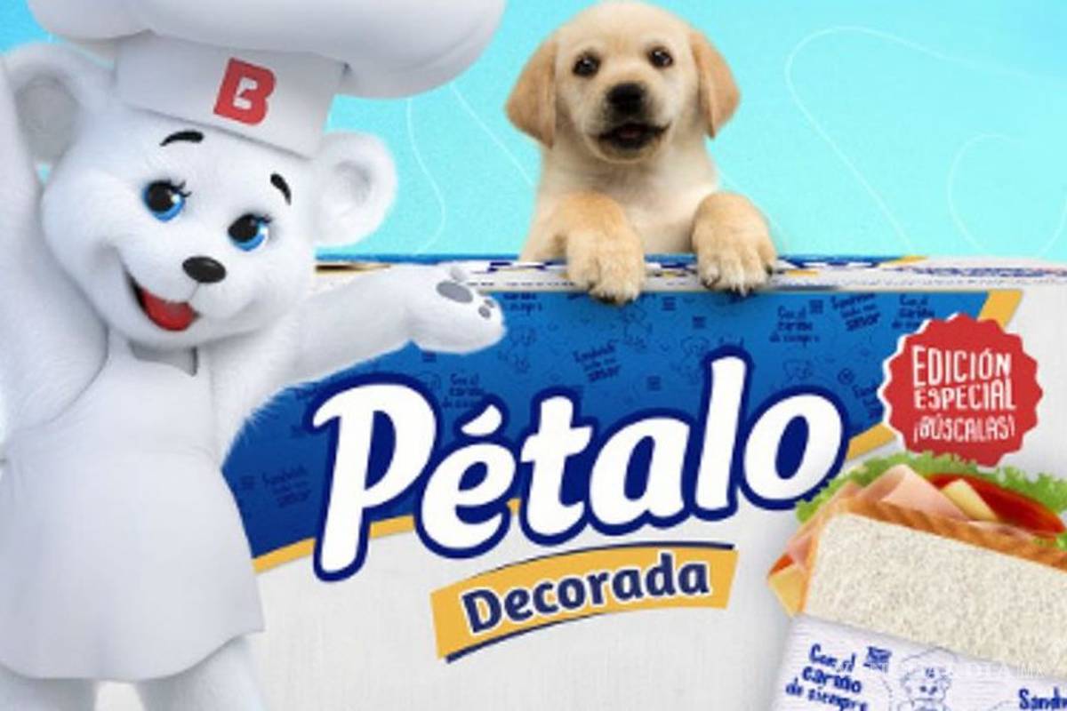 El Osito Bimbo, el más social de los Mexicanos