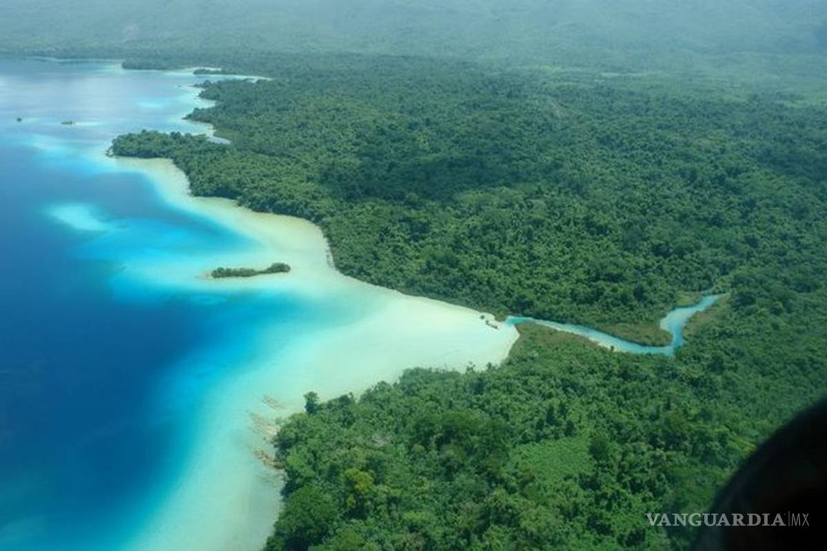 Conanp se queda sin 75 por ciento de recursos, por ‘austeridad’