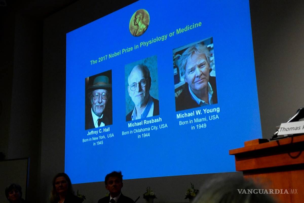 Dan el Nobel de Medicina a descubrimientos sobre el reloj biológico