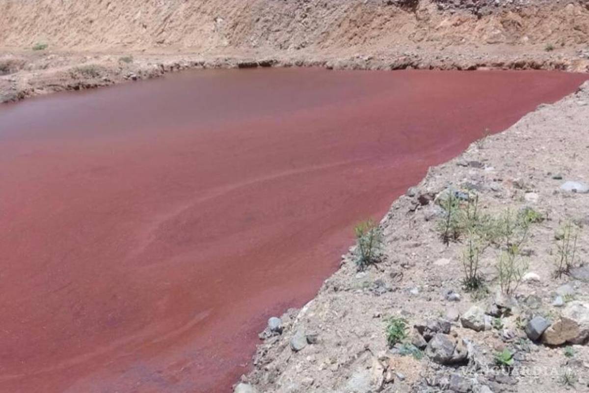 Minera canadiense contamina río en Oaxaca
