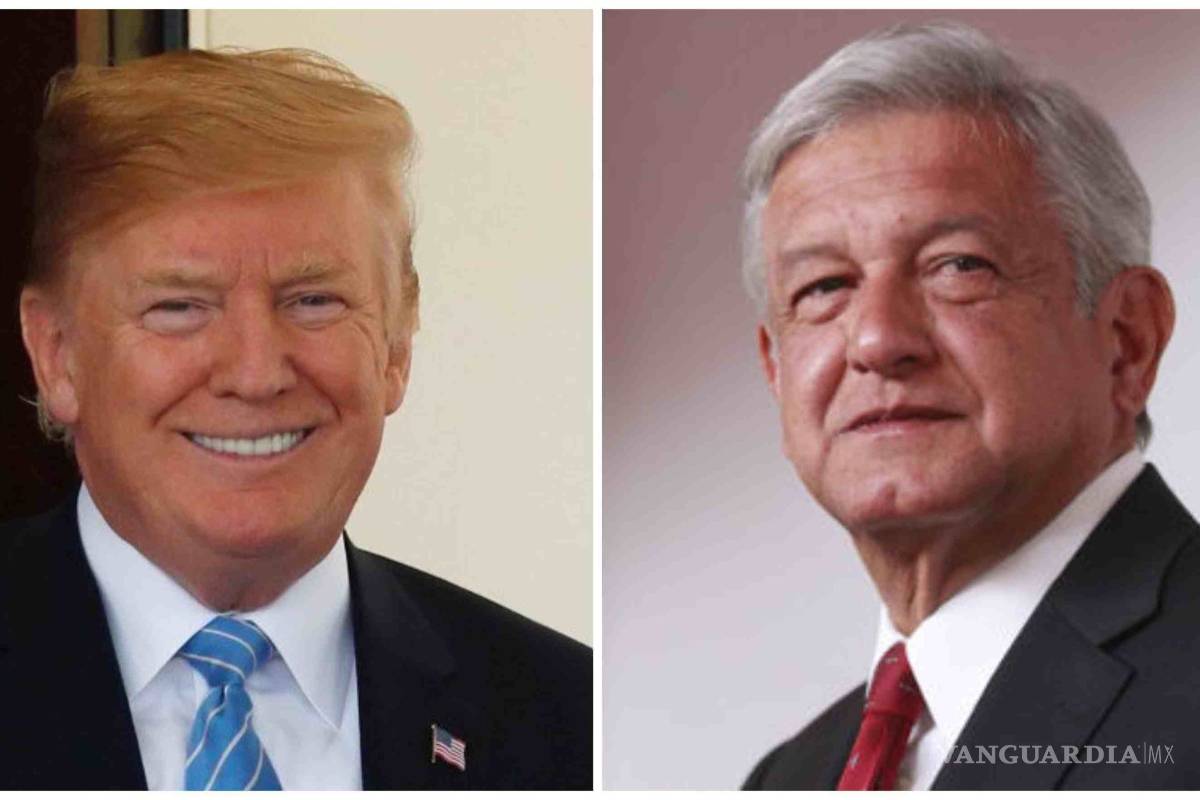 Trump asistirá a la toma de protesta de AMLO: Polevnsky