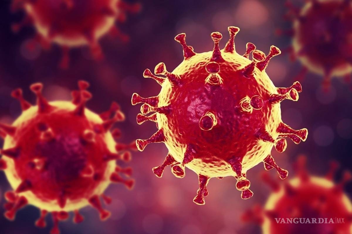 Nadie entra o sale; ponen en cuarentena a Wuhan para evitar transmisión de coronavirus