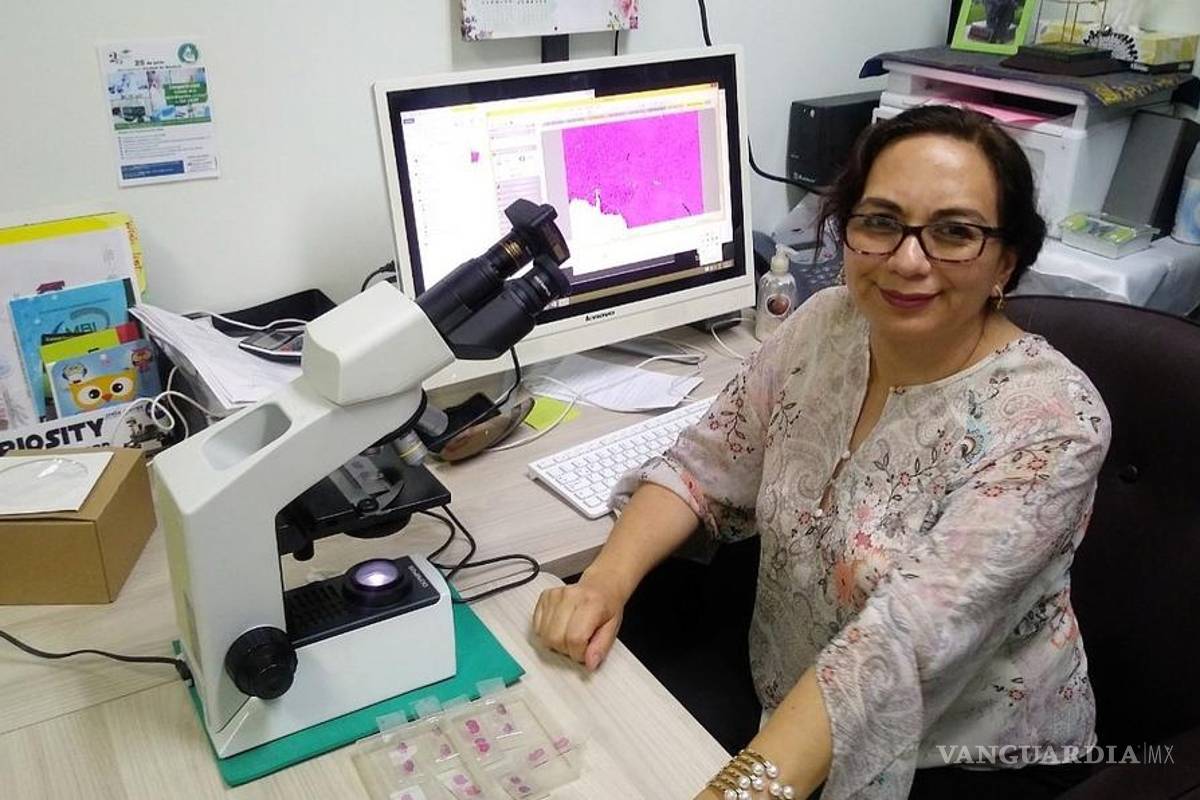 $!COVID-19 puede dañar el páncreas y provocar diabetes: experta del IPN