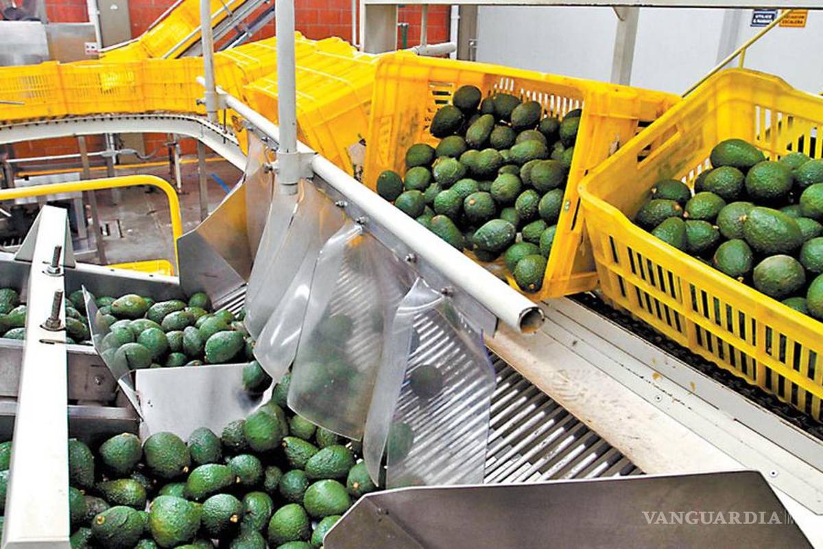 Perjudicial, que el dólar caiga por debajo de los 16.40 pesos